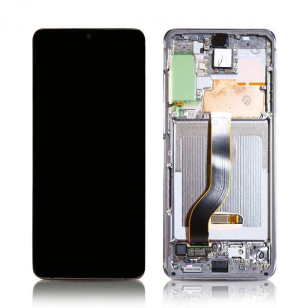 Samsung Galaxy S20 Plus Display Grey