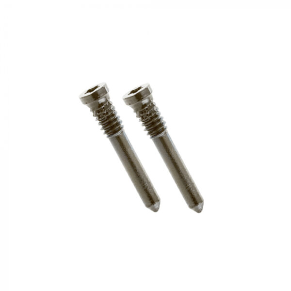 iPhone 13 Bottom Screws Pink (2 pcs)