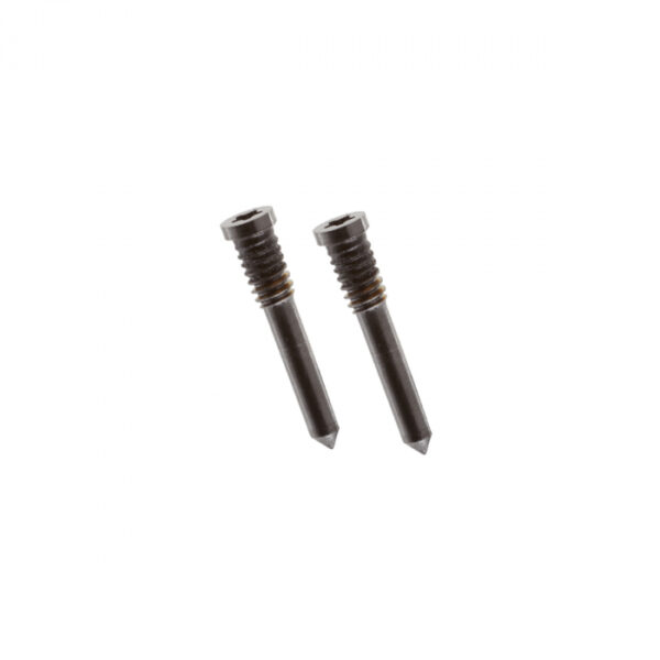 iPhone 13 Pro Bottom Screws Graphite (2 pcs)