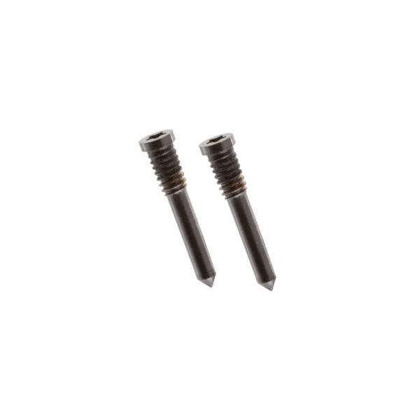 iPhone 13 Pro Bottom Screws Gold (2 pcs)